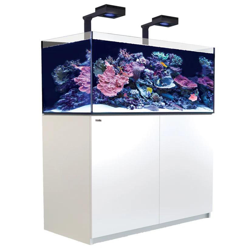 Red Sea Reefer G2 XL 425 Aquarium