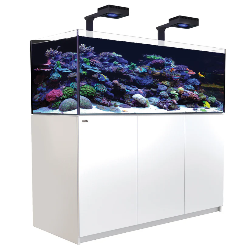 Red Sea Reefer G2 XL 525 Aquarium kaufen