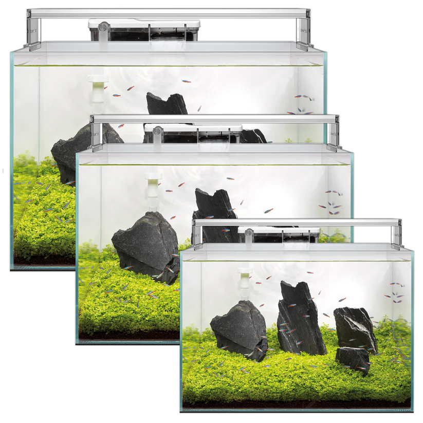 Superfish Scaper 60 Aquarium & Schrank